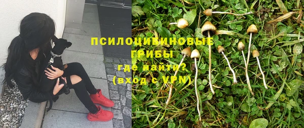 а пвп мука Ладушкин