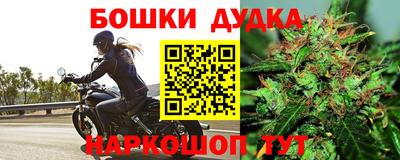 гашик Заводоуковск