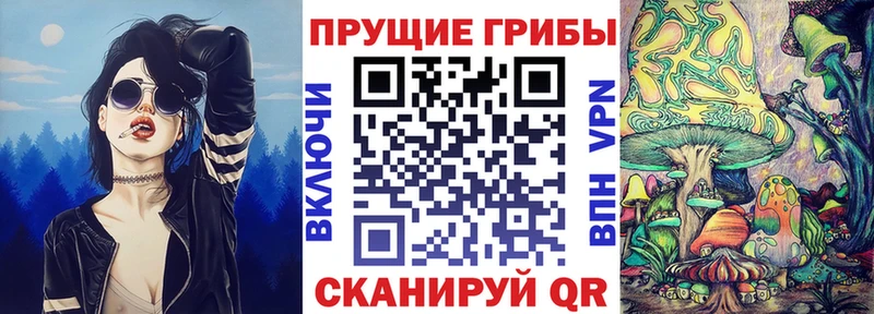 Псилоцибиновые грибы Psilocybe  гидра ССЫЛКА  Чайковский  как найти  