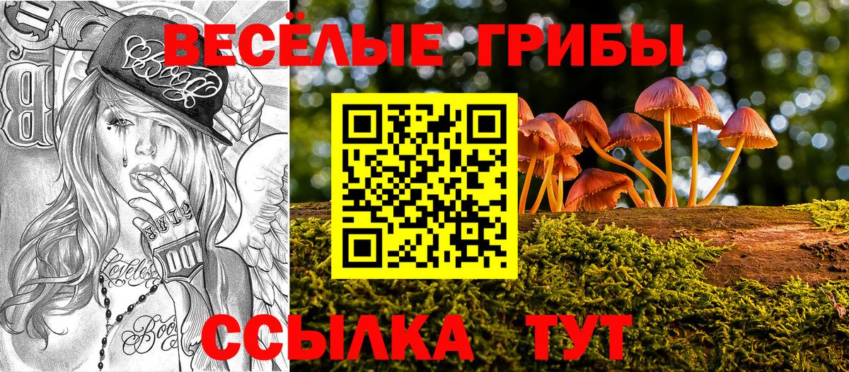 Галлюциногенные грибы GOLDEN TEACHER Чайковский